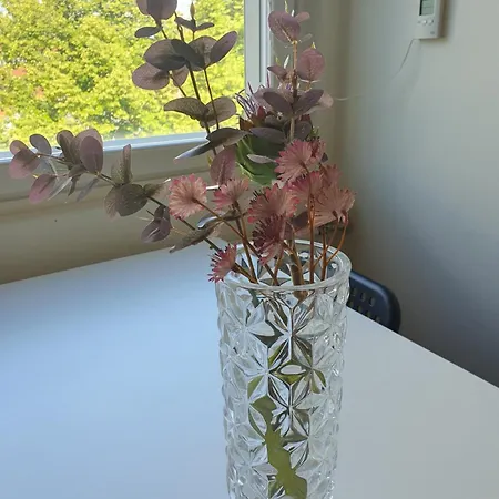 Saunallinen Tilava Kaksio Keskustan Ja Rautatieaseman Tuntumassa 海门林纳